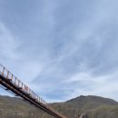 에스제이바이오 이미지