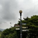 안성 골프장 파인크리크CC 후기