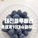 태진푸드 네이버블로그