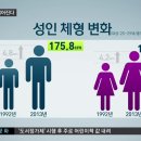 대한민국 20대 중후반 평균키 이미지