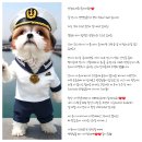원당동물병원 | 원당동물병원, 약 1만 명 보호자분들께서 이곳을 선택한 이유