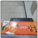 보배농장 | 제주귤 5kg 내돈내산 구입후기! 보배농장과일 사무실동료들과 함께!