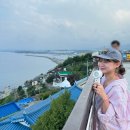 (주)묵호택시 이미지