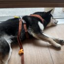 포뮬라커피컴퍼니 - 용산구 보광로 104 | 포뮬라커피컴퍼니
