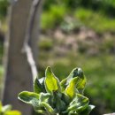 덕일농장 이미지