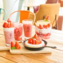 D，day（디데이） 이미지