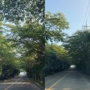 쌍근마을 | 차 박 캠핑 제3 탄 거제 쌍근마을 오토캠핑장 후기