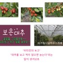 형근농원 이미지