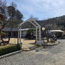 카페신하리1955 | 가평 한옥 감성 카페, 신하리1955 힐링 제대로 하고 온 후기