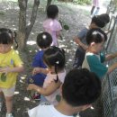 아인농장 이미지