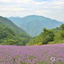 병방산군립공원 이미지