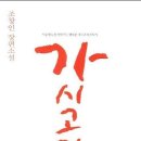 아리의음악학원 이미지