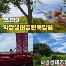함안군 문화시설사업소 | 함안가볼만한곳 악양생태공원 악양뚝방길 꽃구경 주차 산책길정보