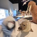 우리사 | January 산산조각이 나면 산산조각으로 살아갈 수 있지