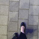 플렉스나인 이미지
