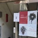 소만 | 송파 식물 예쁜 화분 많은 곳 소만 방문 후기