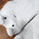 달려라 바우 | 가나디 수면 양말, 다이어리 / 카카오 선물하기