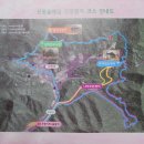 금산2리 티스토리