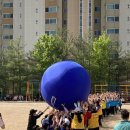 수영초등학교 이미지