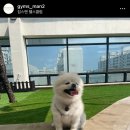 짐스맨헬스클럽 이미지