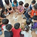 미조초등학교 이미지