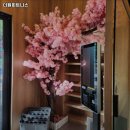 더원 휘트니스 네이버블로그