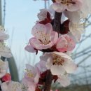 장금농장 이미지