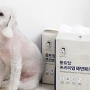 몽트앙