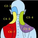 JL fitness 이미지