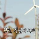 타임피아 이미지