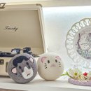 놀아줄개 | 고양이 양모볼 내꼬냥 수제 캣닢 캣볼 장난감 후기