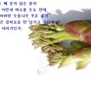 꿈의동산 이미지