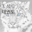 고양 용인대 백호 태권도장 이미지