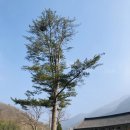 호남알프스 종주 후기