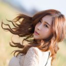 바람의기억 이미지