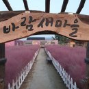 더 마을 핑크 이미지