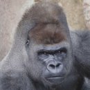 동진광택 이미지