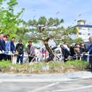 황룡면행정복지센터 이미지