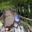 창수어린이집 이미지