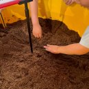 여주곤충박물관 이미지