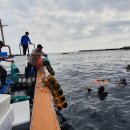 남원종자 이미지