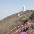 비슬산 이미지