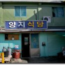 양지식당 이미지