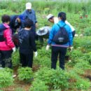 백두대간약초마을 이미지