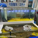 정은수산