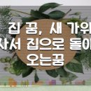 새소망사 이미지