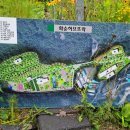 화순허브뜨락 이미지