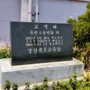 새움정