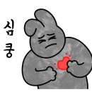 이소플라워 이미지
