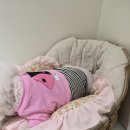 그르르 | 라떼 착용 후기 🐾 애견의류 그르르 ‘테토끼 T’ 신상 리뷰 (레이어링 꿀조합)